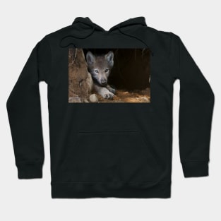 Young Gray Wolf Hoodie